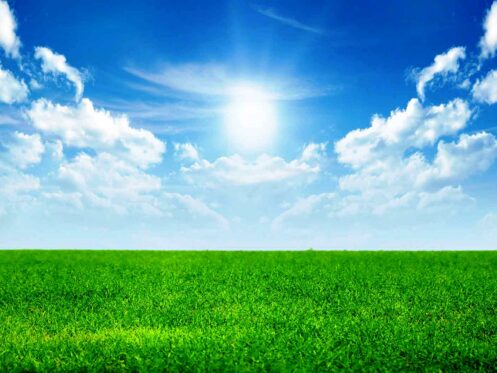 A bright sun shines in a blue sky with scattered white clouds over a vast, green grassy field.