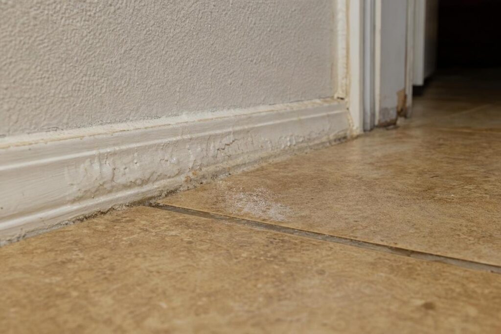 Close-up of water damage along the baseboard and floor, showing peeling paint and discoloration where the wall meets the tile floor near a door.